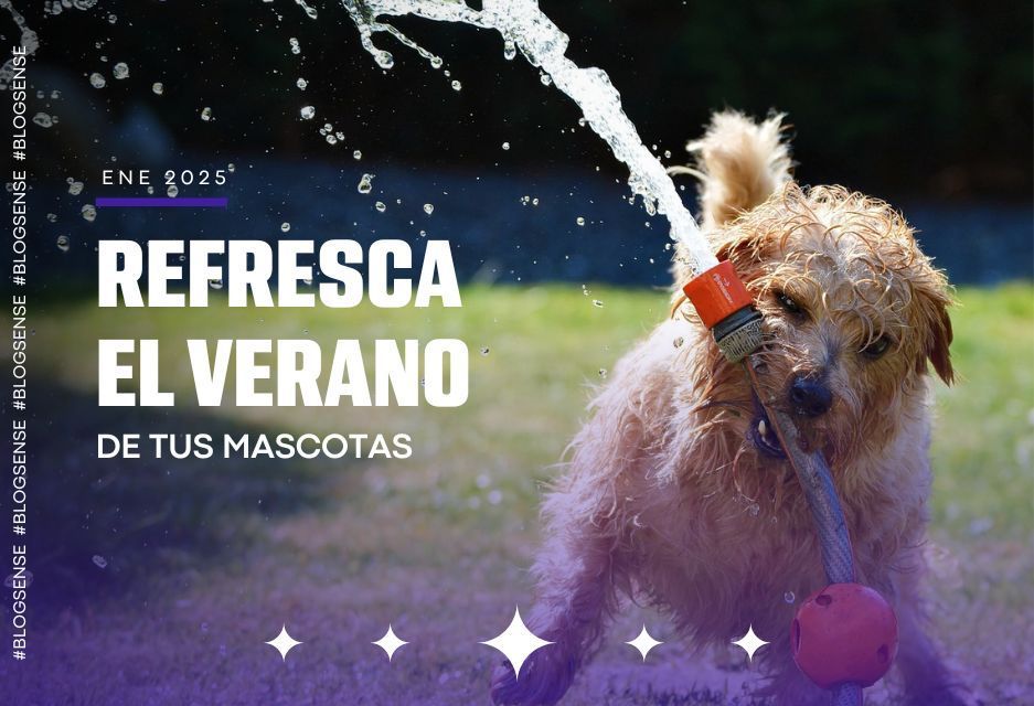 Refresca el verano de tus mascotas